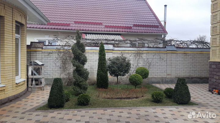 Услуги по озеленению