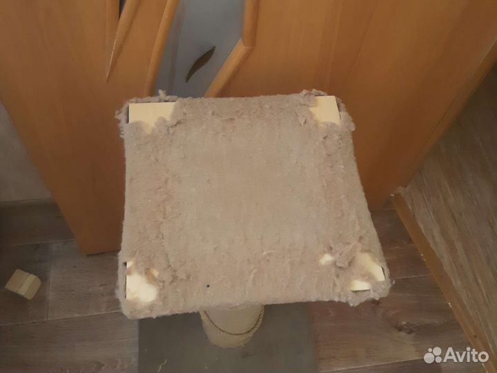 Когтеточка