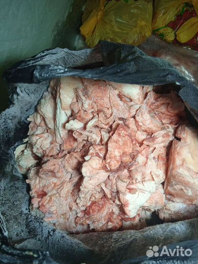 Корм для собак