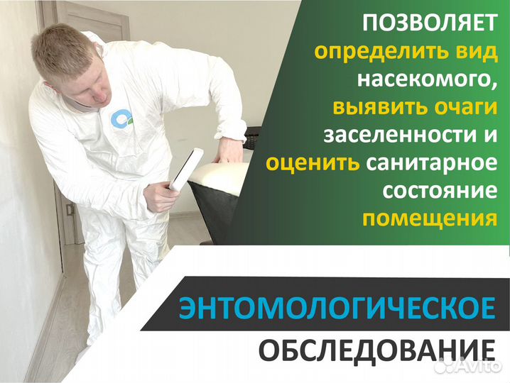 Дезинфекция