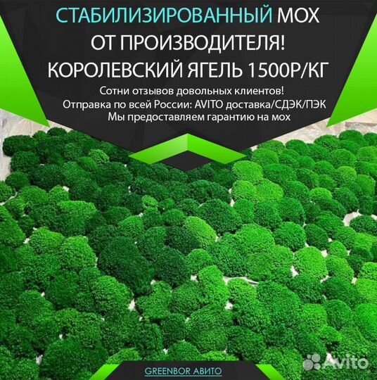 Стабилизированный мох кочки королевские опт