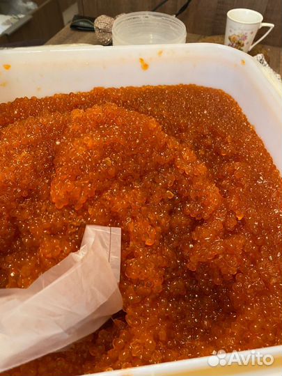Красная икра кеты