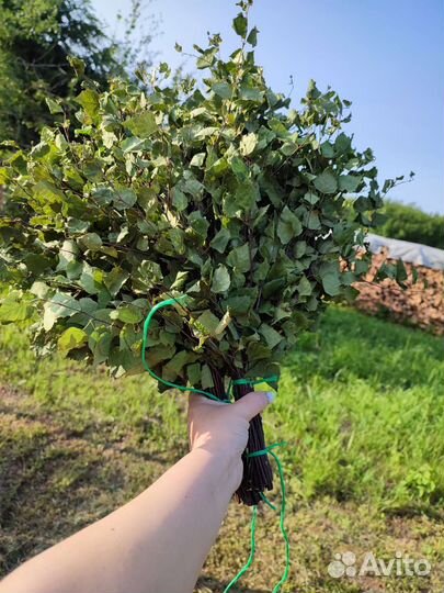 Веники банные