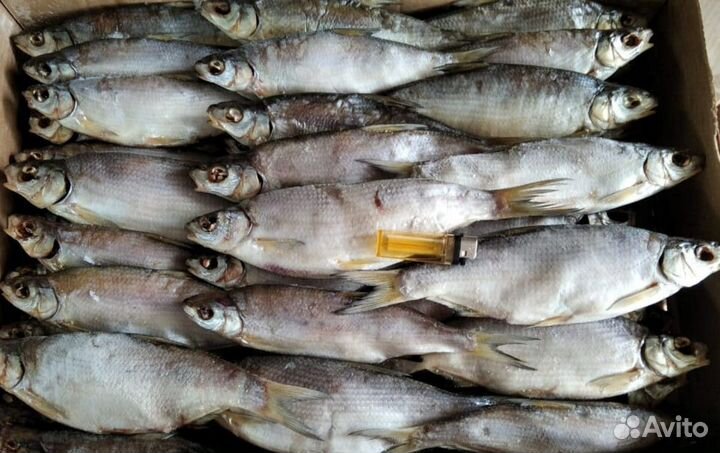 Рыба оптом вяленая и копченая, рыбные снеки