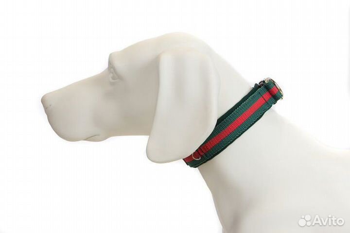 Ошейники для собак