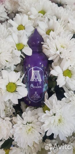 Attar collection azora