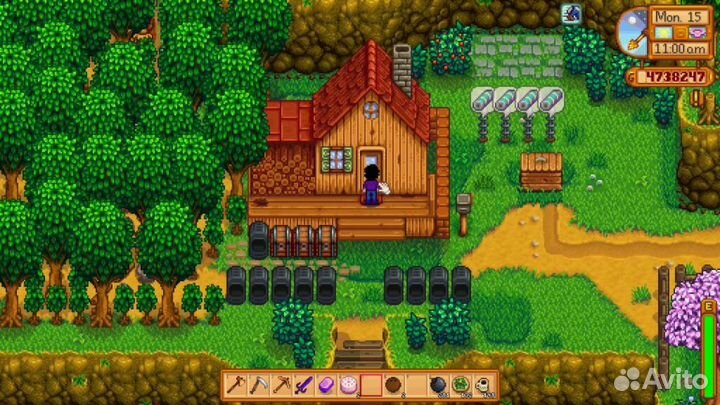 Stardew valley PS4 & PS5