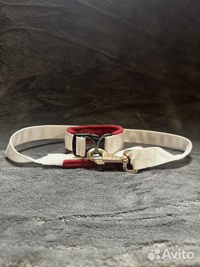 Амуниция для животных ручной работы