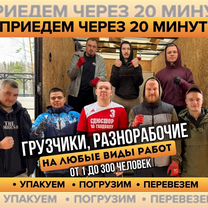 Грузчики Разнорабочие Такелажники, Дзержинский