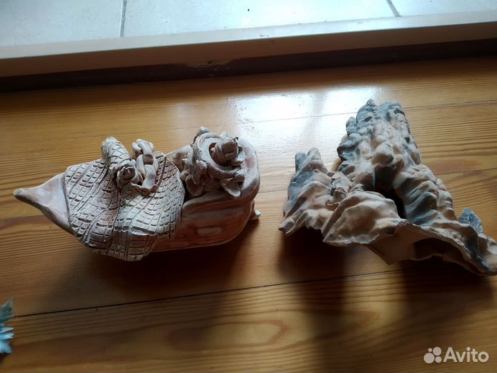 Растения в аквариум