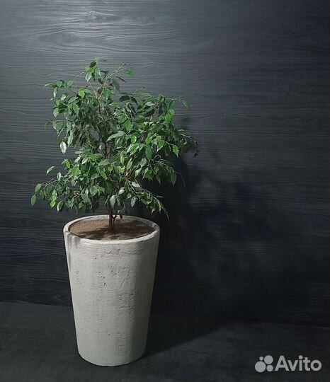 Горшки, Вазоны, Кашпо под заказ из бетона