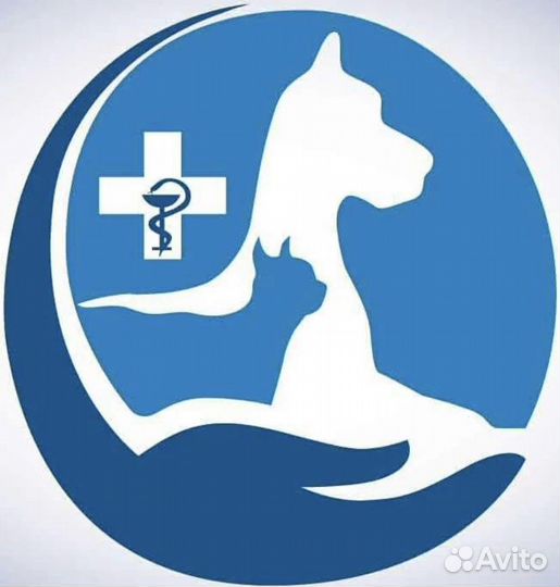 Ветеринарная помощь