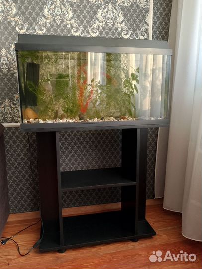 Аквариум с тумбой Juwel