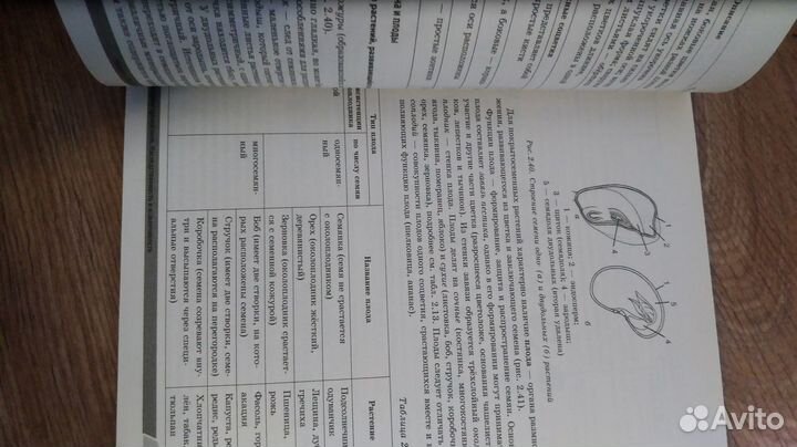 Универсальный справочник к ОГЭ по биологии