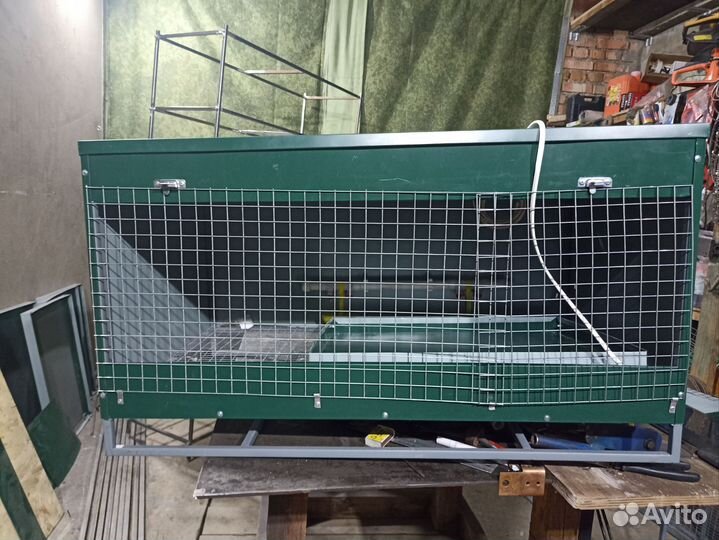 Брудер для цыплят новый