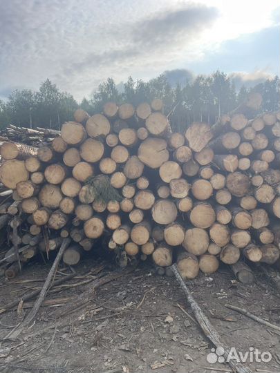 Продам пиловочник и тонкомер хвойный