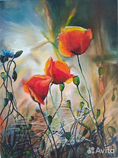 Картина маслом. Маки