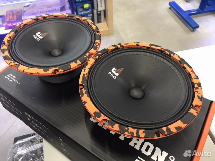 Акустическая система DL audio Gryphone pro 200