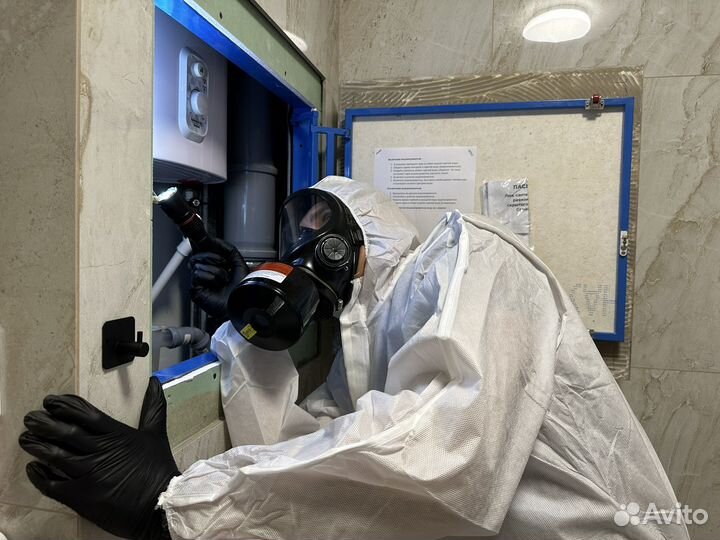 Уничтожение тараканов клопов дезинфекция