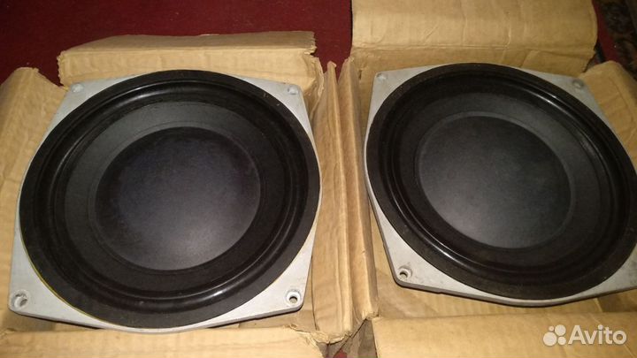 Нч динамики 75гдн