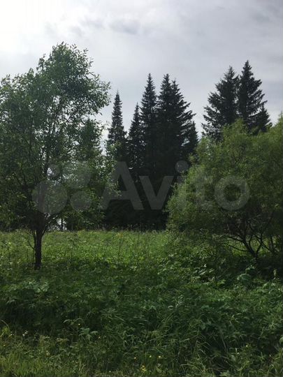 Участок 15,5 сот. (СНТ, ДНП)