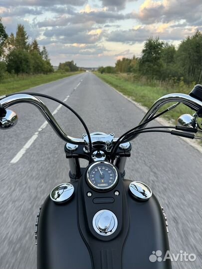 Harley Davidson street bob