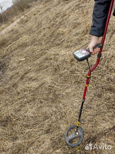 Металлоискатель Minelab X-Terra 505