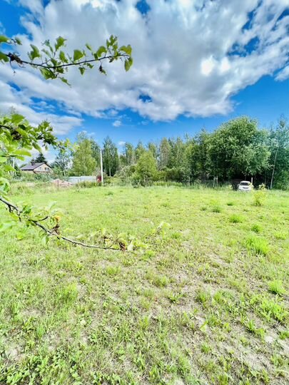 Участок 16 сот. (СНТ, ДНП)