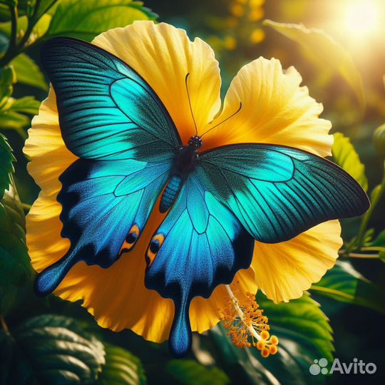 Ферма бабочек с 3 куколками