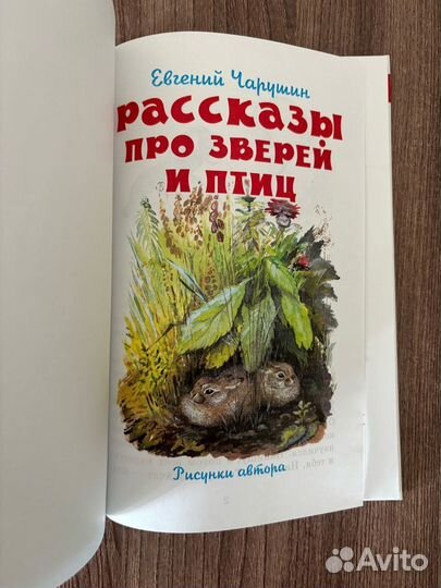 Е. Чарушин. Рассказы про зверей и птиц