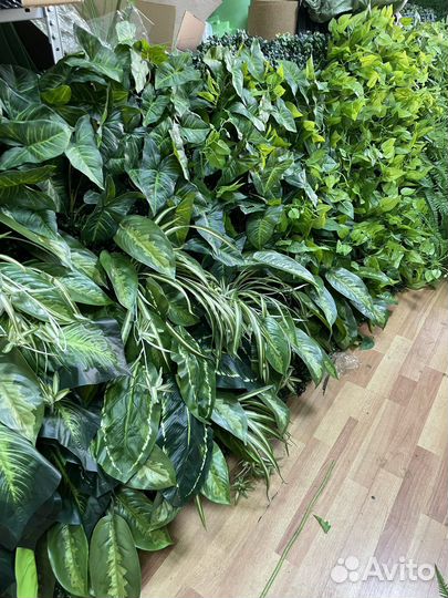 Модуль с растениями