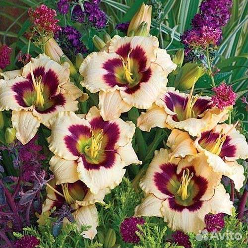 Излишки садовых растений