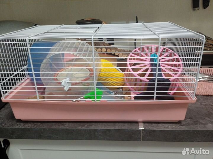 Клетка для грызунов и много аксессуары