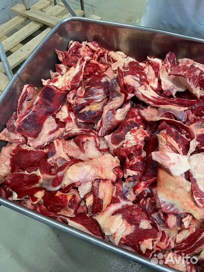 Мясо говядина котлетное 80/20, крупный опт