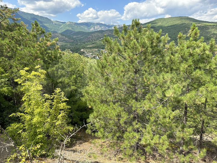 Участок 9 сот. (ИЖС)