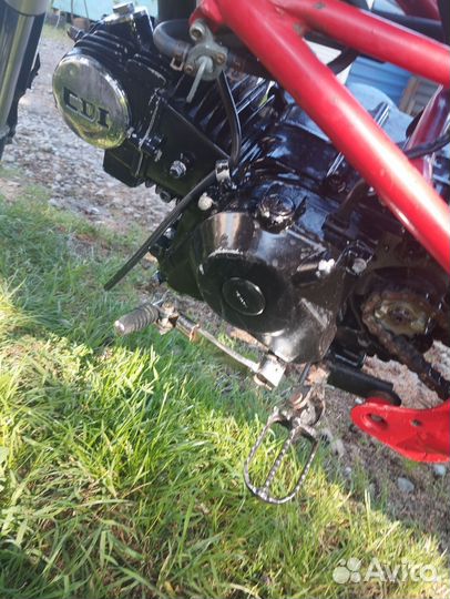 Ирбис ттр 125