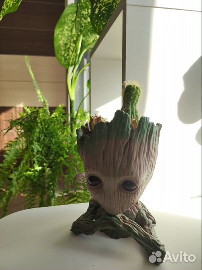 Необычная композиция с кактусом в кашпо