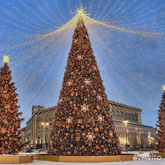 Новогодние туры в Москву