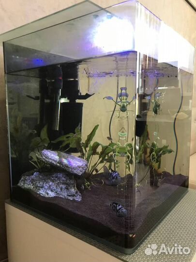 Аквариум 60л
