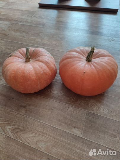 Чеснок и Тыква