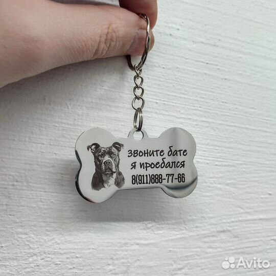 Адресники для кошек или собак