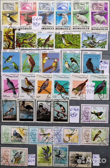 Подборка 22 птицы фауна Сборник