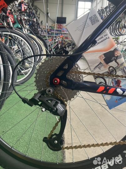 Forward Sporting 27,5 X 19”