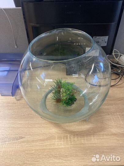Аквариум для рыбок круглый 20 л
