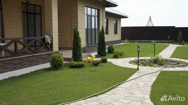 Рулонный газон, укладка, продажа