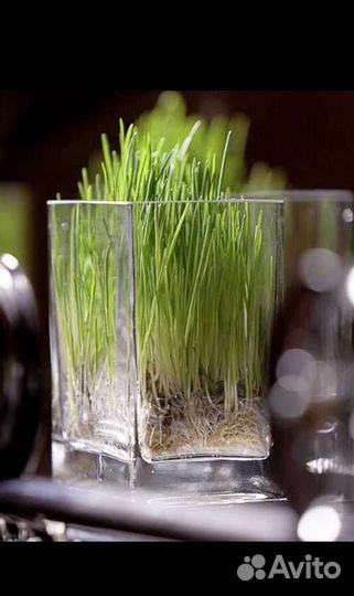 Ваза IKEA. Ректангель