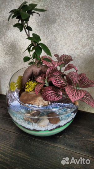 Цветы. Флорариумы. Цветочные композиции. Подарки