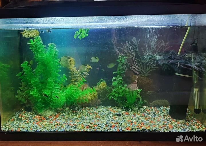 Аквариум