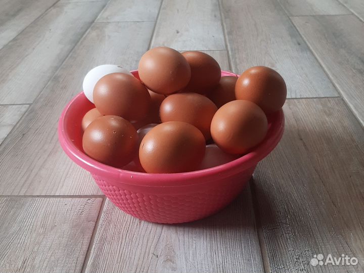 Домашние куриные яйца