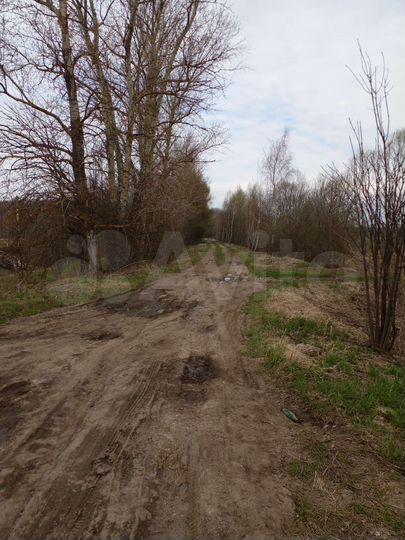 Участок 2,5 га (СНТ, ДНП)